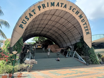 Ragunan Zoo: A Jakarta Family Adventure!
