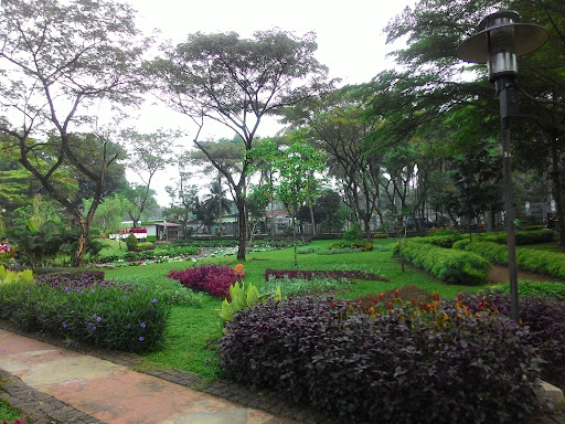 Tabebuya Park: A Green Escape in South Jakarta