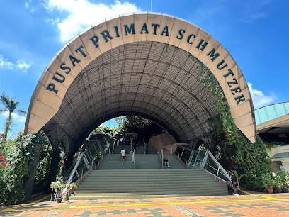 Schmutzer Primate Center: A Jakarta Jungle Adventure