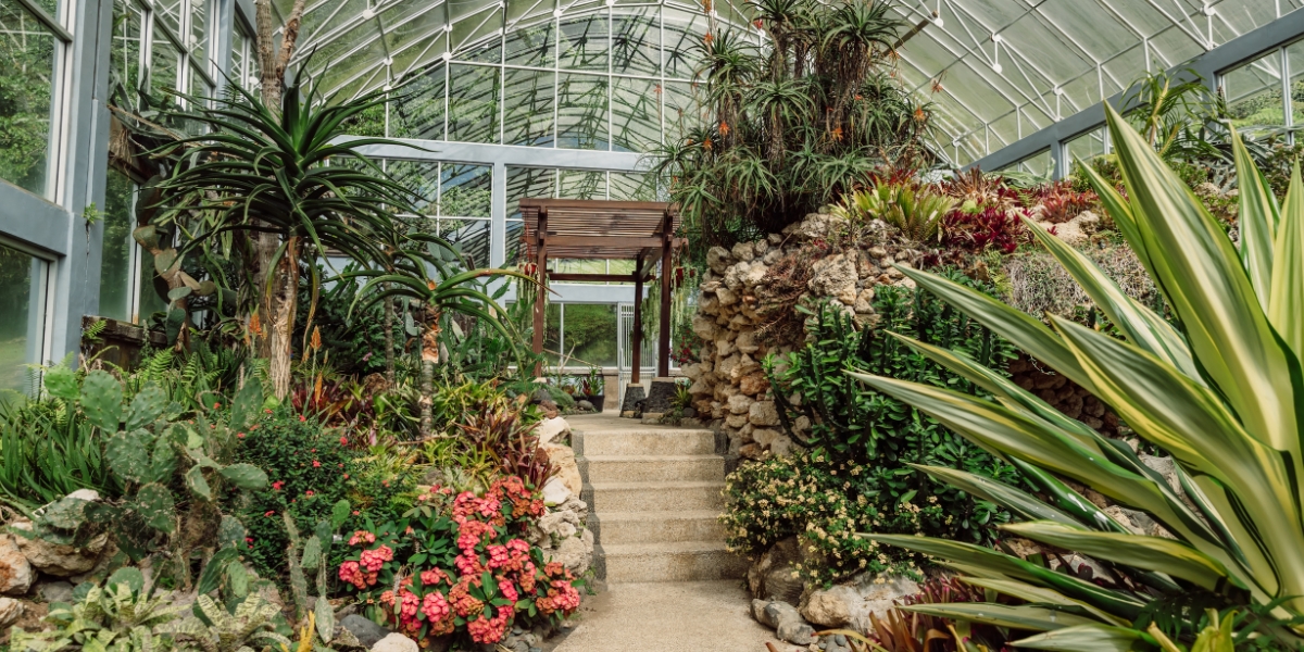 Bali Botanical Garden: Nature's Haven Near Nusa Dua